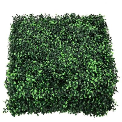 China Eco-friendly Materials Customized Plastic Grass Boxwood Hedge Plants Wall Vertical Artificial Green Wall For Indoor Garden Decoration for sale