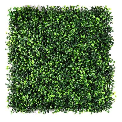 China New Artificial Boxwood Hedge Fence Garden Use PE Materials Plastic Grass Plants Wall Eco-friendly Fresh Green Indoor Outdoor Wall For Decor for sale