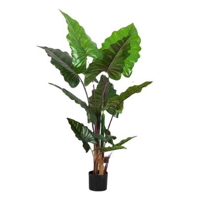 China High Simulation Plant Price Artificial Alocasia Bonsai Tree Fake Evergreen Indoor Outdoor Plants Macrorrhizos With Pots Home Decor for sale