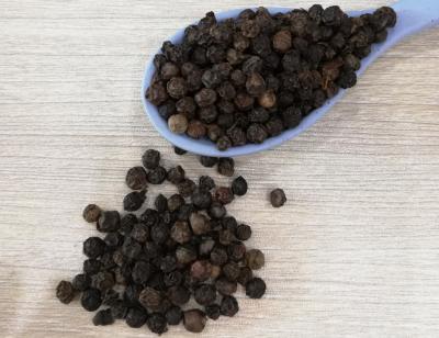 China Top Selling Good Quality Black Pepper Factory Food Directly for sale