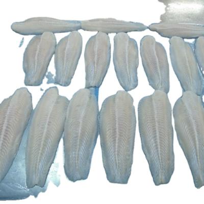 China FROZEN FROZEN Pangasius Bandeau Frozen Pangasius Fish Steak for sale