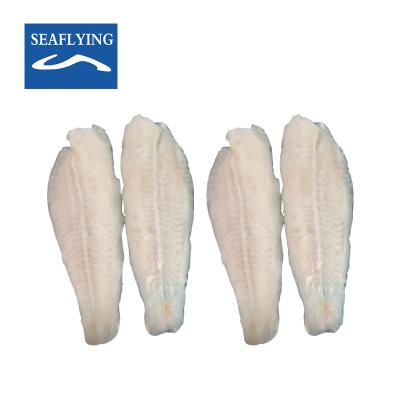 China High quality well balanced frozen white meat /pangasius/ basa swai fillet for sale