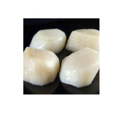 China FROZEN FROZEN Scallop Frozen Meat for sale