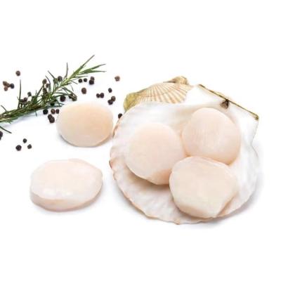 China FROZEN FROZEN Scallop Frozen Meat for sale