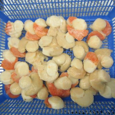 China Hokkaido Japanese Scallop of Best FROZEN FROZEN Seafood for sale