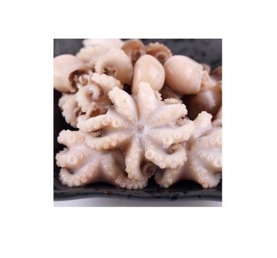 China frozen baby octopus cut flower formed BQF or IQF 16/25 16/25 for sale