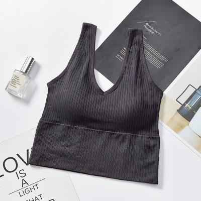 China Breathable Comfortable Padded Vest Organic Cotton Bra Corp Fashion All-match Women Seamless Tube Tops for sale