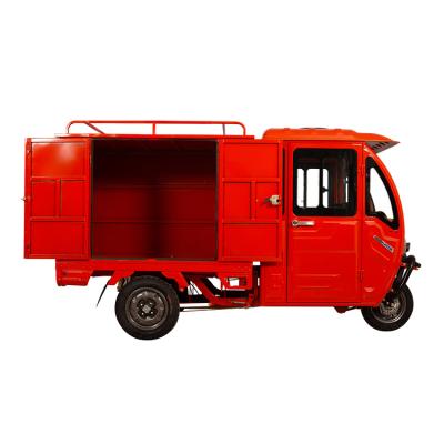 China Cargo Enclosed Three Wheel Adult Tricycle Electric Closed Cargo Tricycle for sale