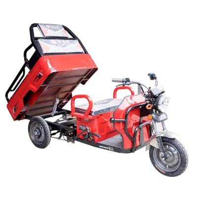 China Cargo Assisted Electric Tricycle Folding Adult 3 Wheel Electric Trike Electric Bicycle for sale