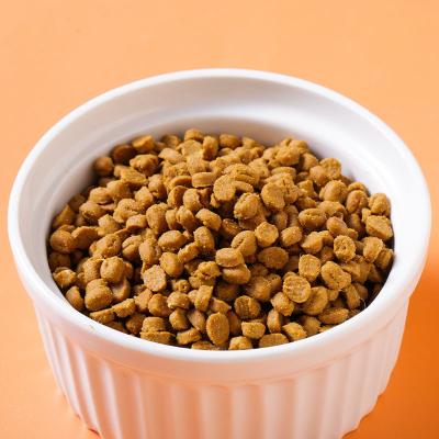 China Skin & Coat Health Wholesale Pet Food Animal Treats Gluten-Free Protein Rich Dry Cat Food for sale