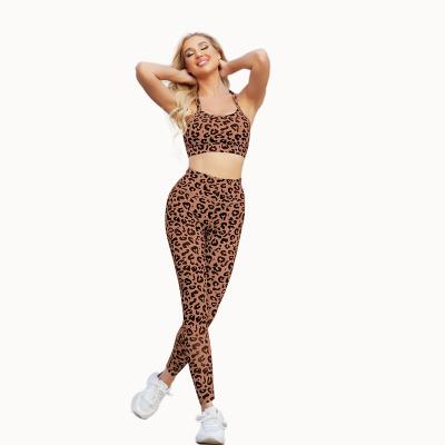 China 2021 Antibacterial High Quality Leopard High Waisted Gym Leggings Patterns Sports Bra Yoga Sets For Woman for sale