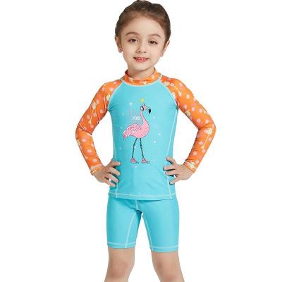 China Plus Size Children's Swimwear Long Sleeve Beach Sunscreen Kids Surfing Lovely Cartoon Toddler Two Piece Swimsuit Girls Swimsuits for sale