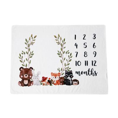 China Customized Personalized Anti-Static Photography Backdrop Photo Prop Baby Milestone Monthly Blanket for sale