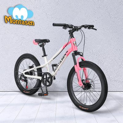 China Montasen AB03 New Arrival Steel Kids Bike 20 Inch Kids Bike Frame Alu Bicycle For Kids For 3-7 Years Old for sale