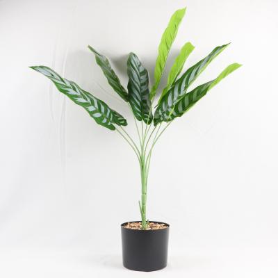 China Real Touch Green Hot Fake Acrylic Artificial Plants for Bamboo Eucalyptus Wedding Bird Paradise Palm Cactus Snake Outdoor for sale