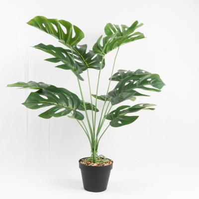 China Modern Hot Selling Branch Green Tropical Leaf Acrylic Artificial Plant in Pot Peace Lily Strelitzia Pampas Panduranta Cymbidium Orchi for sale