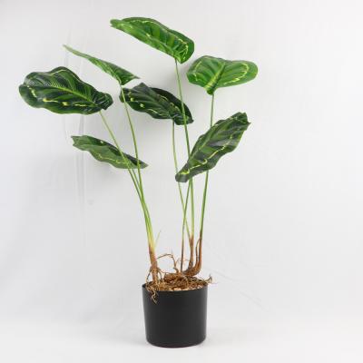 China 2021 Designs Green Realistic Decorative Ornamental Outdoor Plastic Artificial Plant With Pot Wedding Venue Fiddle Leaf Palm Olive for sale