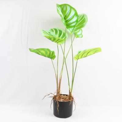 China New Designer Green Potted Acrylic Artificial Plants For Indoor Floor Home Decor Living Room Bedroom Face Pott Skybird Rj Monstera for sale