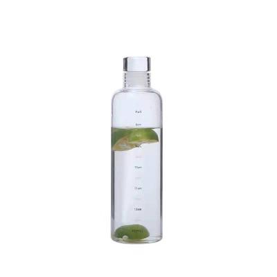 China Sustainable No MOQ New High Borosilicate Tumbler Frosted Glass Bottles For Water For Traveling for sale