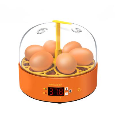 China 2021 full automatic new arrive automatic 6 chicken egg incubator for children education and entertainment for sale