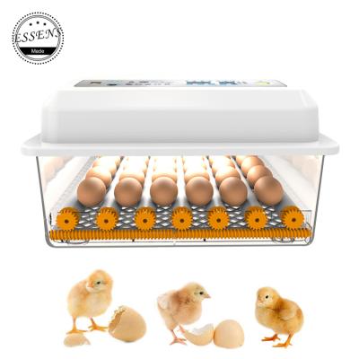 China 2021 Fully Automatic Digital Egg Incubator 30 Egg Incubator Best Selling Fully Automatic Egg Incubator for sale