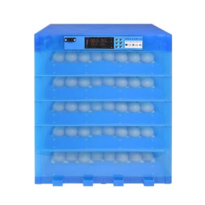 China Best Quality Auto Eggs DC Widely Hatching Eggs Automatic Turning Incubator Applicable Small Capacity Eggs Incubator for sale