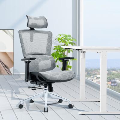 China CHRISTMAS High Back New Arrival Ergonomic Staff Rotation Office Furniture Full Mesh Office Chairs for sale