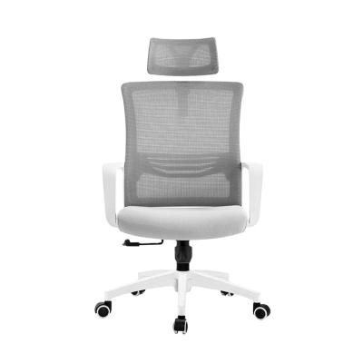 China Factory Direct Wholesale High Quality Adjustable (Height) Mesh Office Ergonomic Computer Desk Chair Back for sale