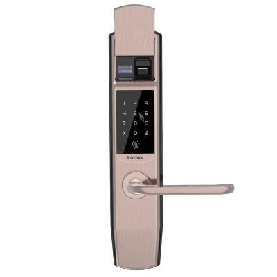 China Anti-theft Lock Electronic Smart Touch Screen Door Security Digital Door Lock For Hotel Apartment Use Interior for sale