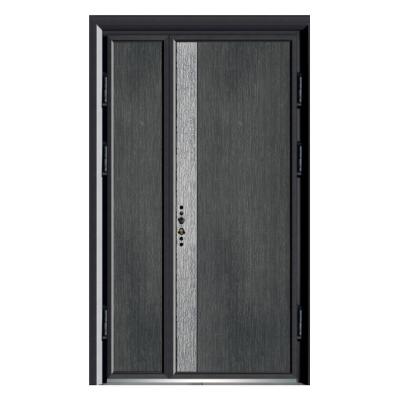 China 2021 OEM Modern Design New Steel Security Door , Sound Proof Front Main Door for sale