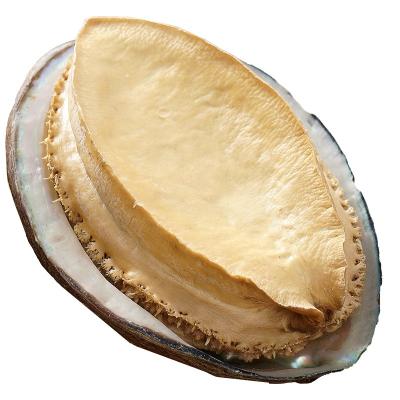 China Factory price low fat nutritious shellfish freeze dried abalone for sale for sale