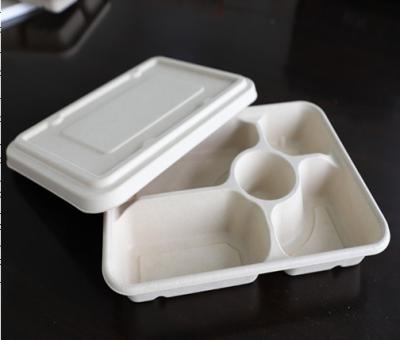 China Minimalist Eco Friendly Biodegradable Food Box With Lid Dinner Box for sale