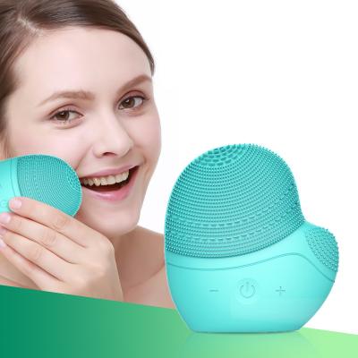 China HBcare IPX6 Rotating Electric Facial Facial Massager Brush Cleaner Deep Cleansing Device for sale