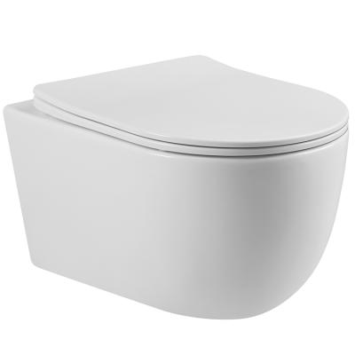 China Space-Saving Wall-Hung Toilet Hidden Tank Without Water Tank Special Design Wall Hung Toilet With Bidet for sale