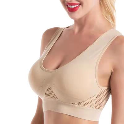 China Mesh Transparent Girl Underwear QUICK DRY Breathable Cotton Padded Bralette Fitness Yoga Sports Women Wireless Female Bra for sale