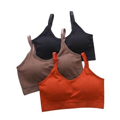 China Wholesale Cheap Breathable Soft Girl Threaded Vest Sling Wrap Chest Breathable Cotton Padded Ladies QUICK DRY Crop Top Women Seamless Bra for sale