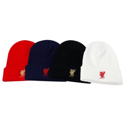 China JOINT Wholesale Knitted Hat Custom Embroidered Knitted Warm Hat Custom Logo Embroidery for sale