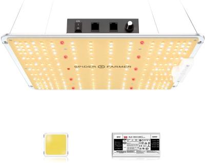 China Seed starting spider farmer SF1000 Sunlike Samsung lm301b 100 watt 2 x 2 grow led light with 5 years warranty for sale