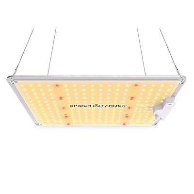 China Seed Starting Spider Farmer SF-1000 Led Grow Light With Samsung Lm301B LED Daisy Chain Dimmable Full Spectrum Grow Lights for sale