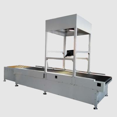 China DWS Sorting Dynamic Parcel Sorter DWS Parcel Sorting Equipment For Warehouse Logistics Storage for sale