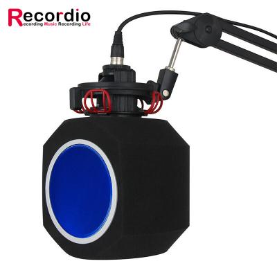 China Install Directly to GAZ-600A Professional Microphone Studio Mic Screen Acoustic Filter Desktop Recording Microphone Wind Screen Noise Reduction for Youtube for sale