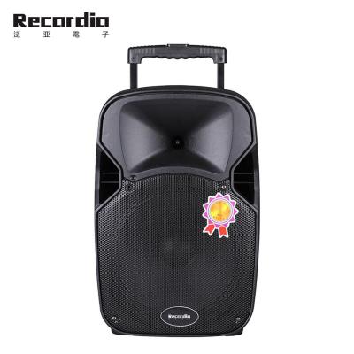 China 12 Inch Portable BT Speaker GAS-131 Portable Wireless Rechargeable Karaoke Subwoofer Cart Subwoofer Speaker with Wireless MIC for sale