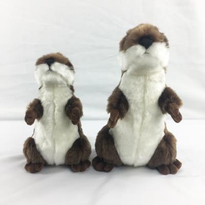 China Custom Cute Stuffed Animals Lifelike Sea Otter Safety Plush Animal Stuffed Toys for sale