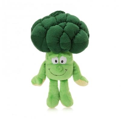 China Hot Selling Broccoli Stuffed Animal Baby Educational Toy Vegetable Toy for sale