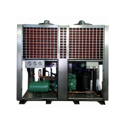 China Cold Storage Room Freezer Room Monoblock Refrigeration Unit Cold Storage Units Condensing Room for sale