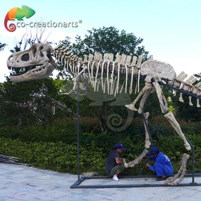 China Attraction Hot Sale Life Size Dinosaur Fossil For Jurassic Theme Park for sale