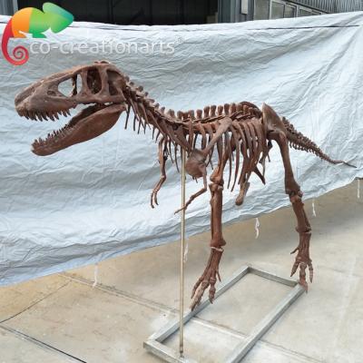 China Exhibition Museum Equipment Decoration Vivid Dinosaur Skeleton Model for sale