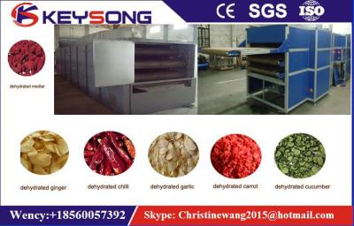 China Food Grade Vegetable Belt Dryer / Fruit Dehydrator / Stainless Steel Net Dryer for sale