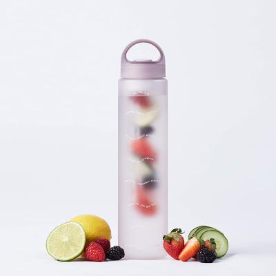 China Viable Manufacturers Free Sample Plastic Fruit Infuser Bpa Fruit Lemon Fruit Infuser Water Bottle for sale