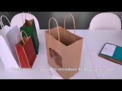 Holographic Paper Bulk Paper Shopping Bags For Snack Packaging Brown Kraft Paper